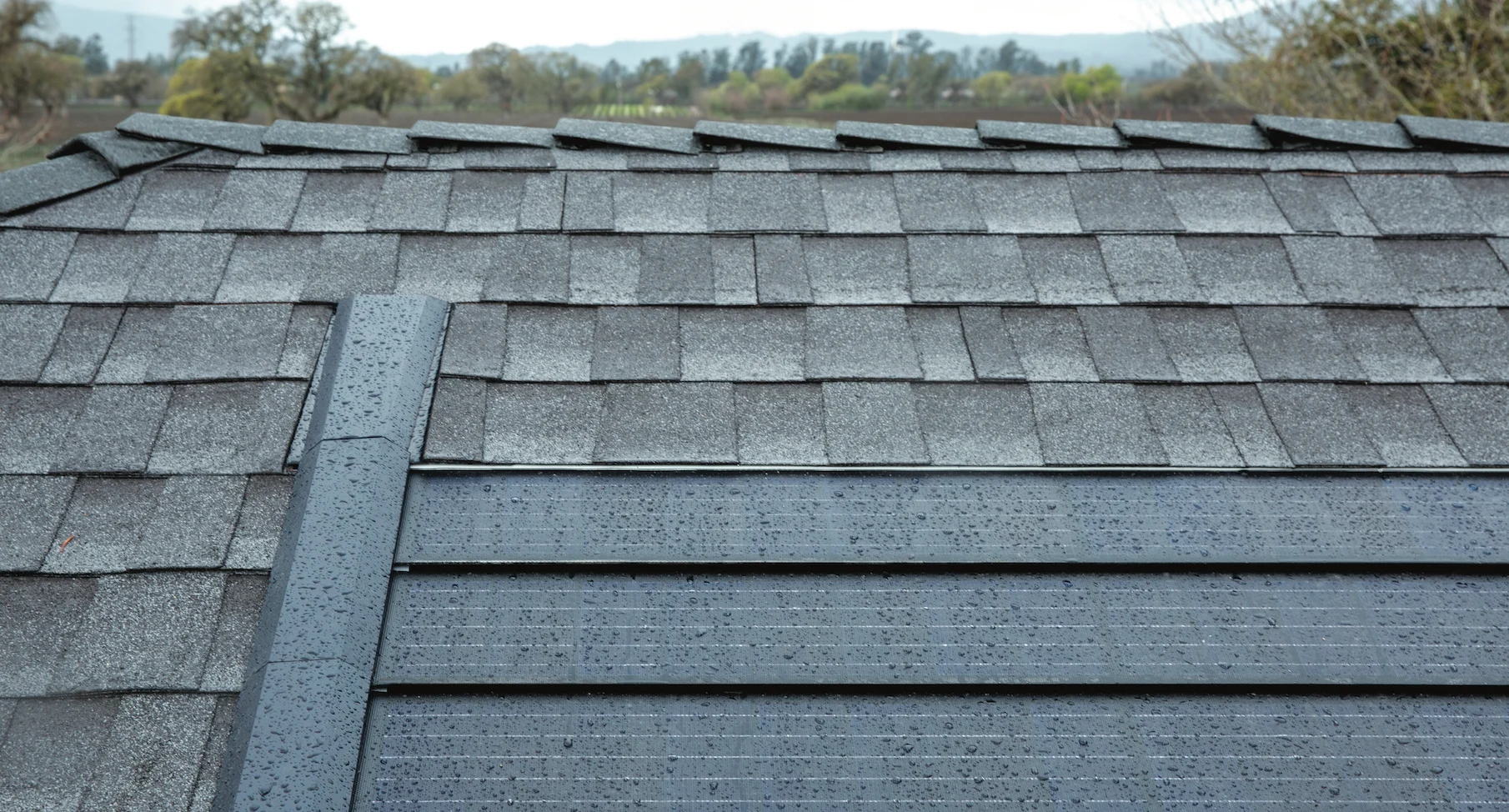 Roofing Problems and Solutions: How to Identify and Fix Common Roof Issues