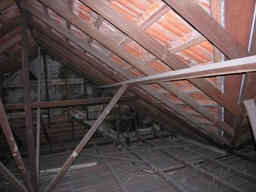 Attic Problems