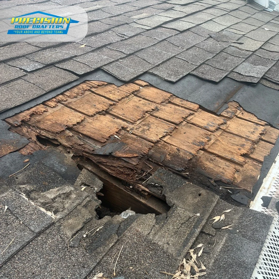 Damaged Shingles